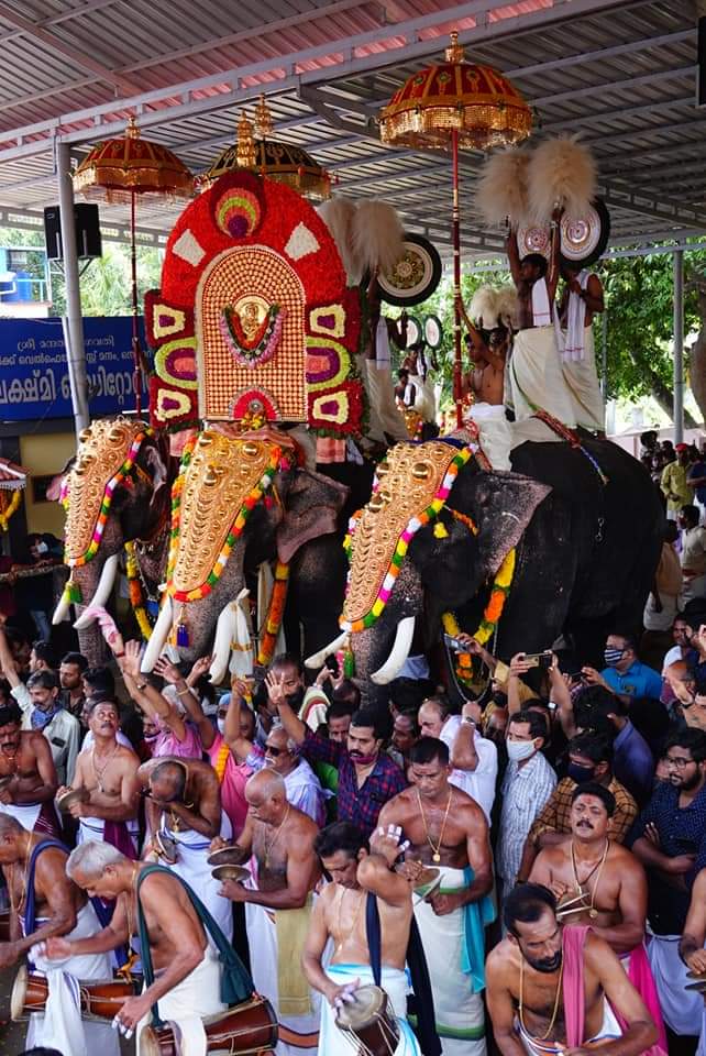 കണ്ണമ്പ്രയിൽ പരിസ്ഥിതി ദിനത്തിൽ 100 കരിമ്പന നട്ടു സിവിൽ ഡിഫൻസ് വടക്കഞ്ചേരി(PKD) യൂണിറ്റ്