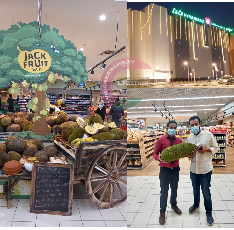 ഒരു ഘട്ടത്തിലും മലമ്പുഴ സീറ്റ് ചോദിച്ചിരുന്നില്ല. എലത്തൂർ സീറ്റ് പാർട്ടിക്ക് വാഗ്ദാനം ചെയ്തിരുന്നു. …