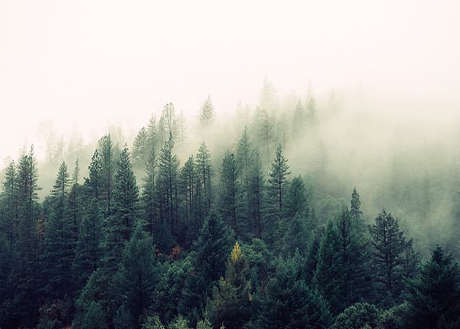 പാട്ടോല അപ്പക്കാട് റബ്ബർ തോട്ടത്തിൽ യുവാവ് മരിച്ച സംഭവത്തിൽ പ്രതികൾ പിടിയിലായി